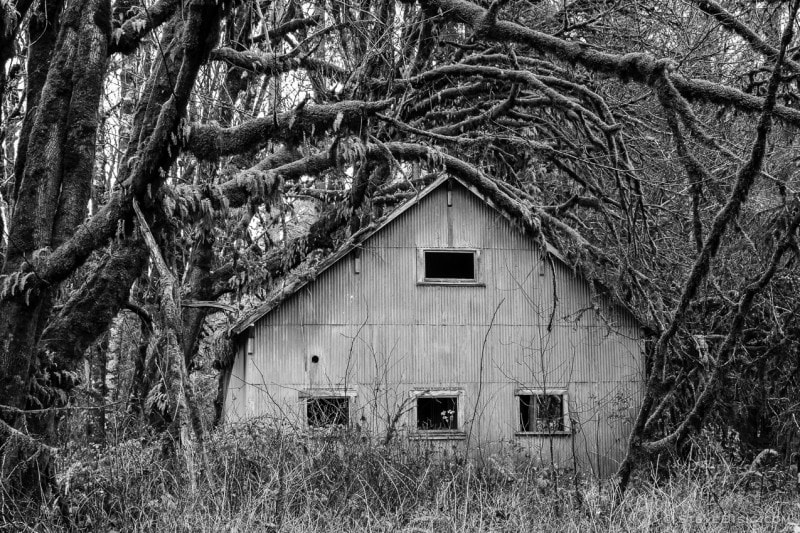 Old Metal Building in the Forest, Dryad, Washington, 2015