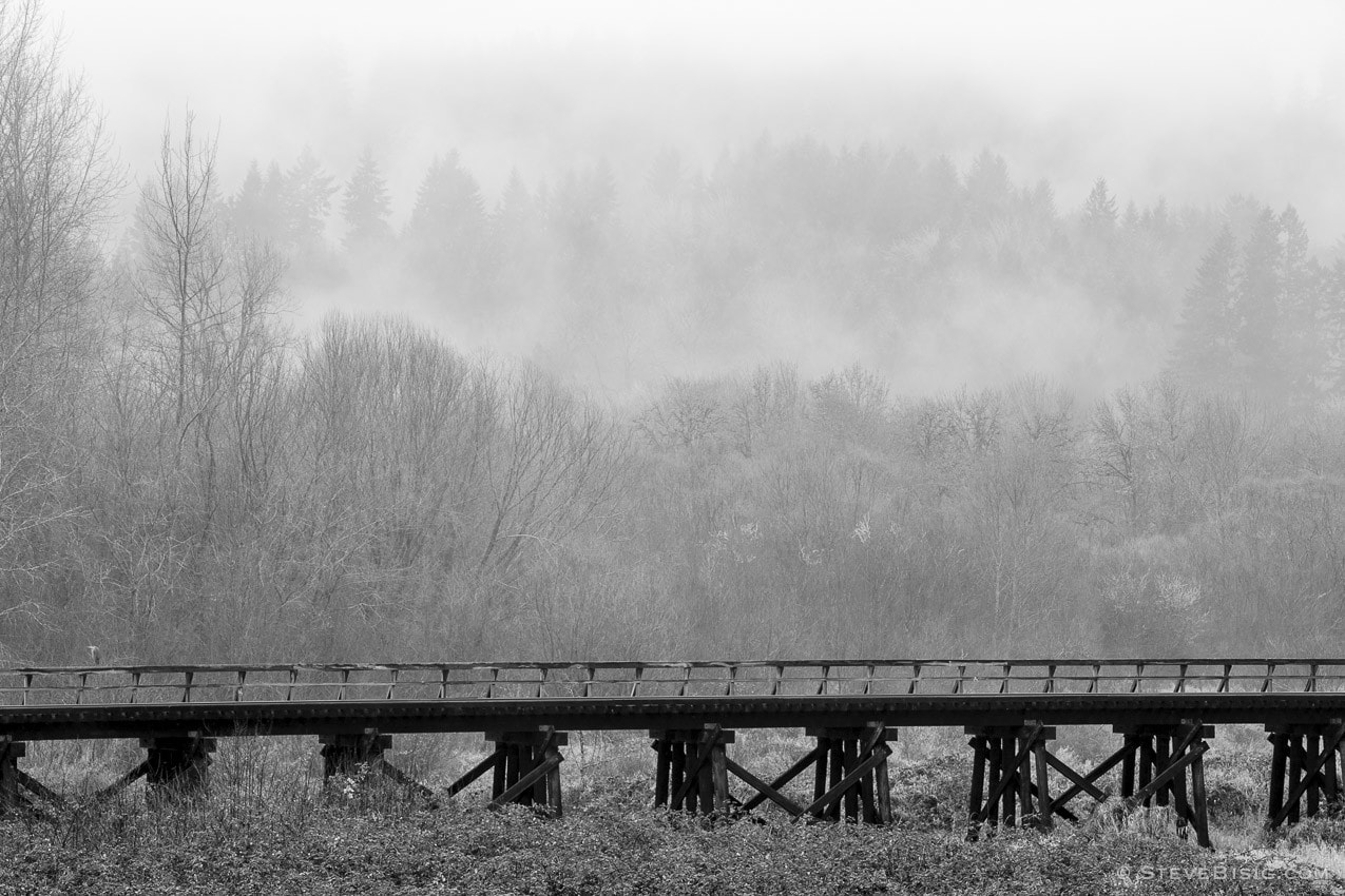 A black and white photograph of an old railroad trestle along State Route 6 in rural Lewis County, Washington.