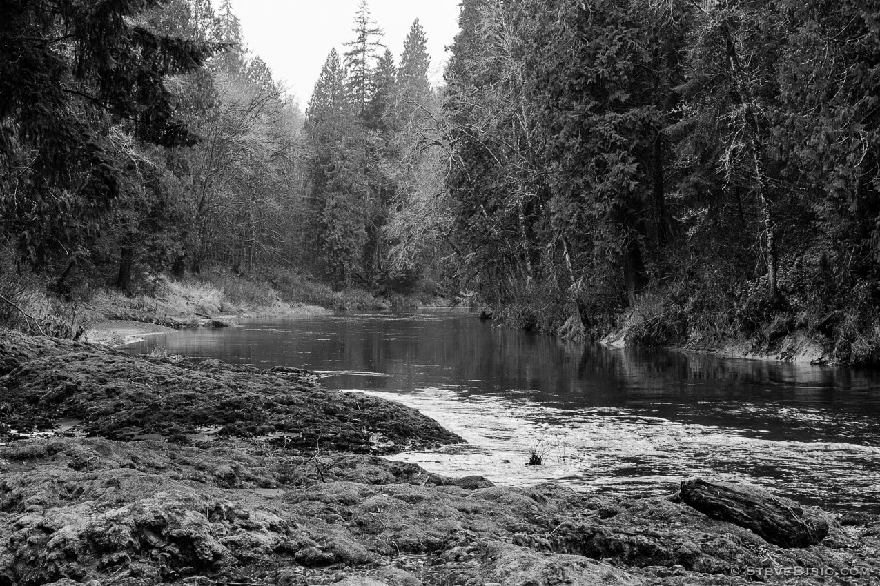 A black and white photograph of the South Fork Chehalis River at the Rainbow Falls State park in Lewis County, Washington.