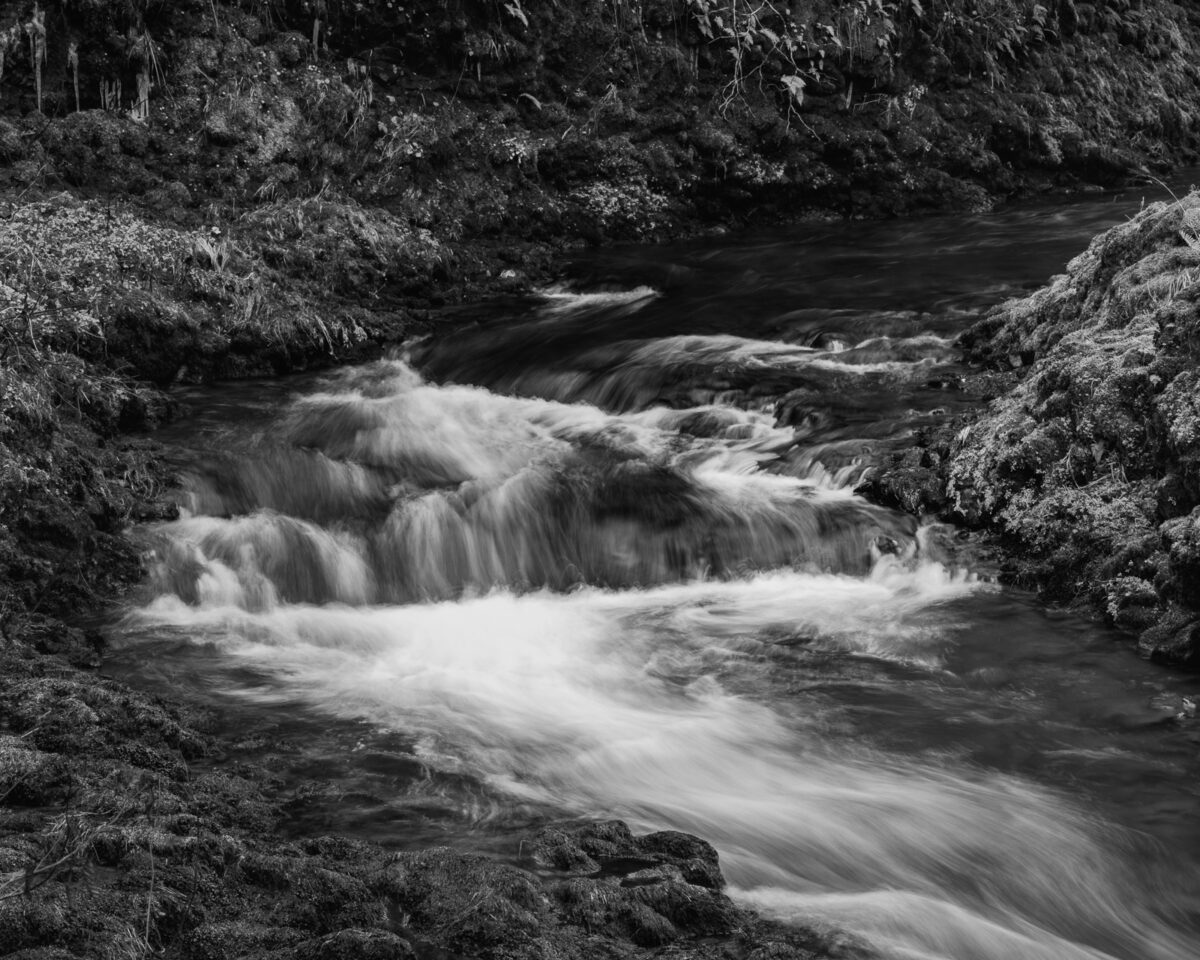 A black and white photograph of the South Fork Chehalis River at the Rainbow Falls State Park in Lewis County, Washington.