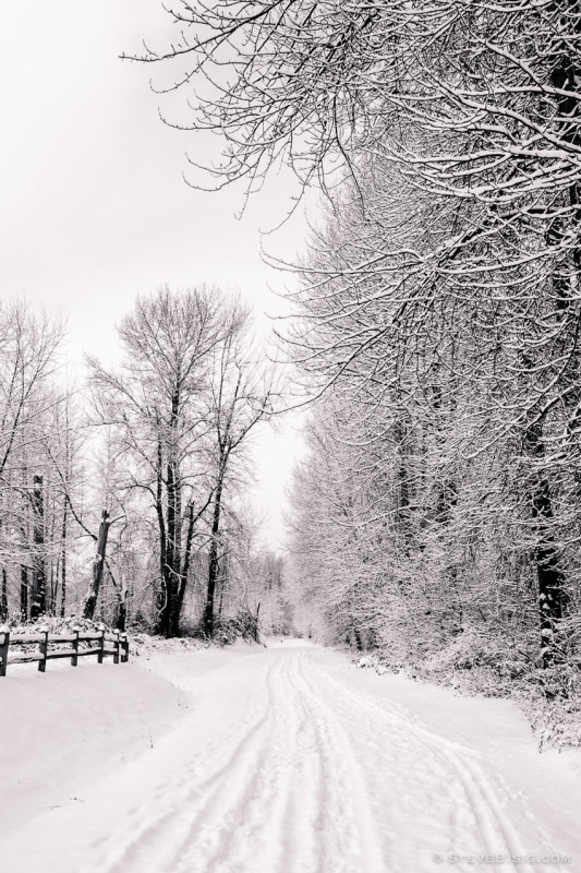 A black and white photograph of the Riverwalk Trail in Puyallup, Washington under a fresh layer snow.