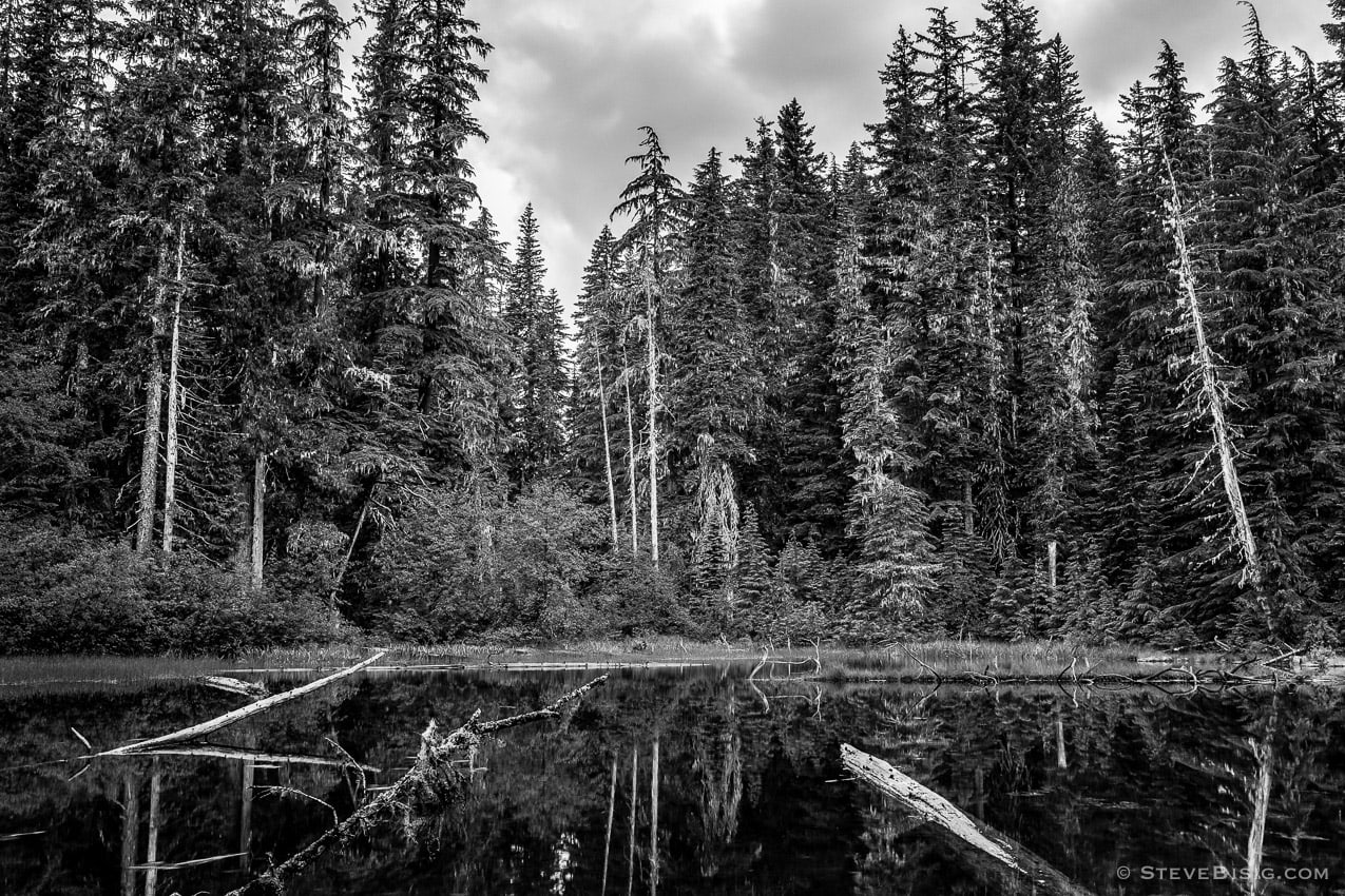A black and white fine art photograph of an unknown name lake near the White River off the Sunrise Road in Mt Rainier National Park, Washington.
