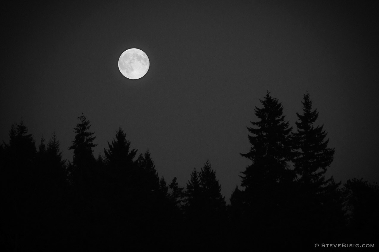 A black and white fine art photograph of the full (super) moon over the tree line in Pierce County near Eatonville, Washington. 